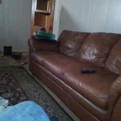 Sleeper Couch Leather