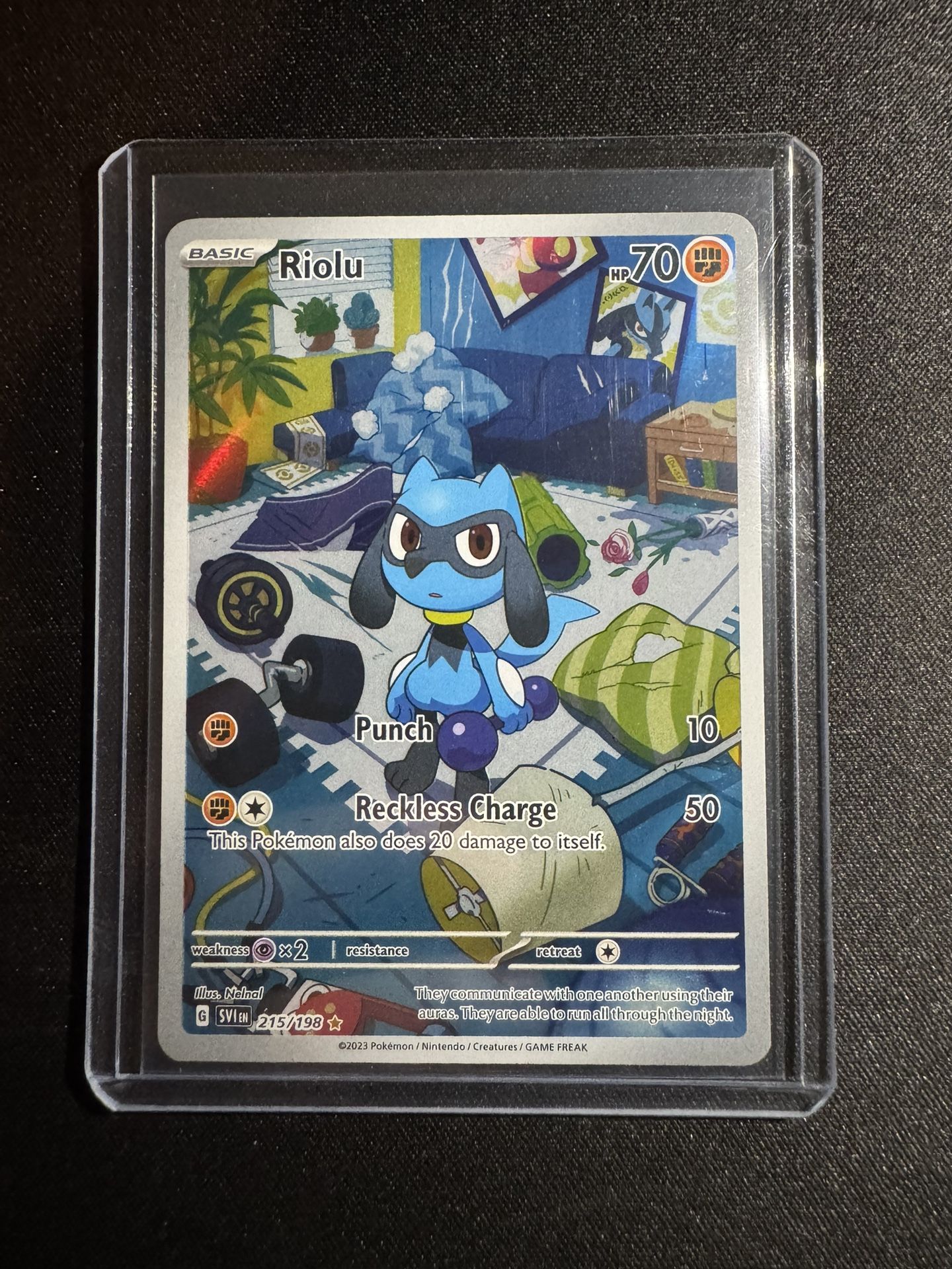 Riolu IR