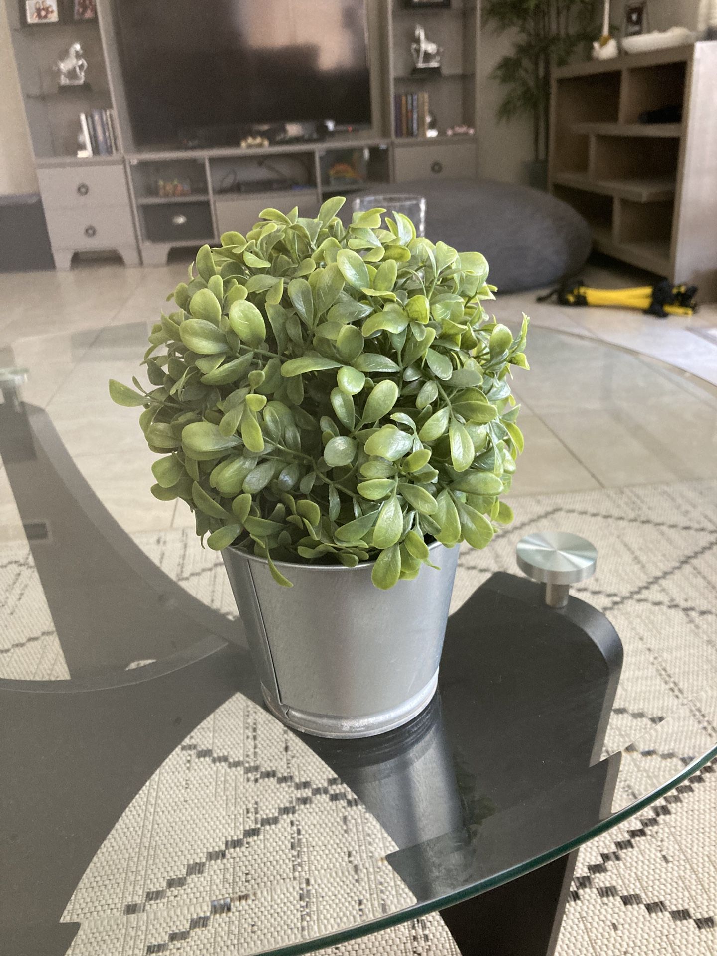 fake plant / home decor