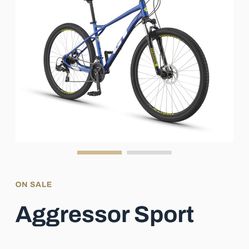 Aggressor Bike 