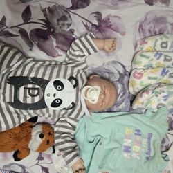 Reborn Baby