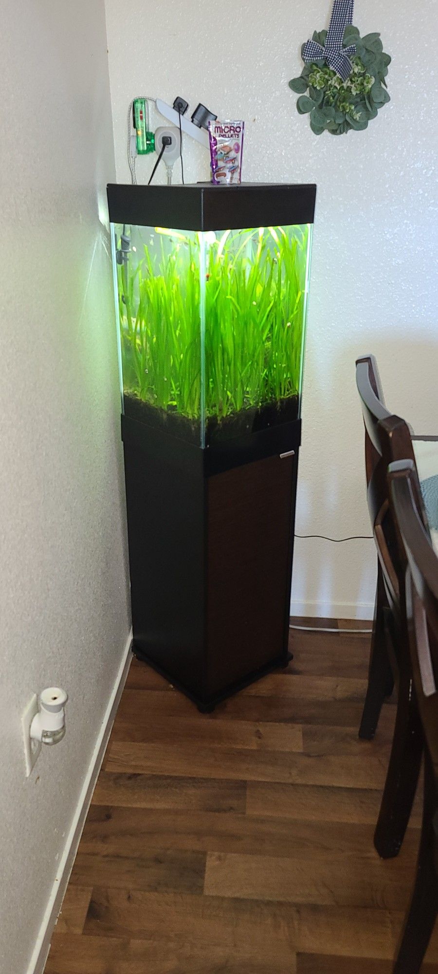 Planted And Stocked Aqueon 15 Gallon Column Tank & Stand