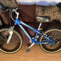 24” Mountain Lespo Bike For Womens 7 Speed Excellent Condition Tires Seat News $125