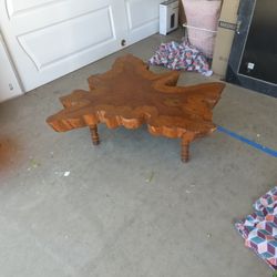 Petrified Wood Coffee Table