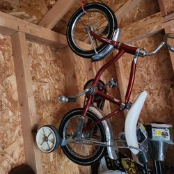 Schwinn Tiger 