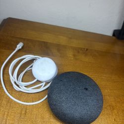 Google Home Mini