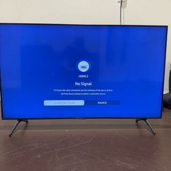 43 Inch Samsung TV 