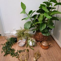 Fake Plants, Plant Hooks, Vases