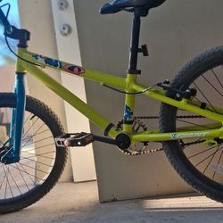 Giant 20" Pumptrck Bmx BIKE Very Fast Tektro Brakes