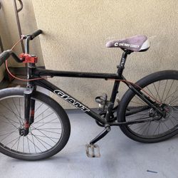 Giant Bike 