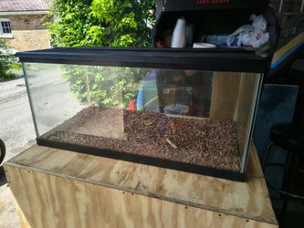 45 Gallon Breeder Tank/Fish Tank