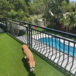Balcony Turf 