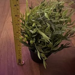 Artificial Potted Plant by ikea —Planta en maceta artificial de ikea