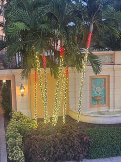 Christmas holiday lights