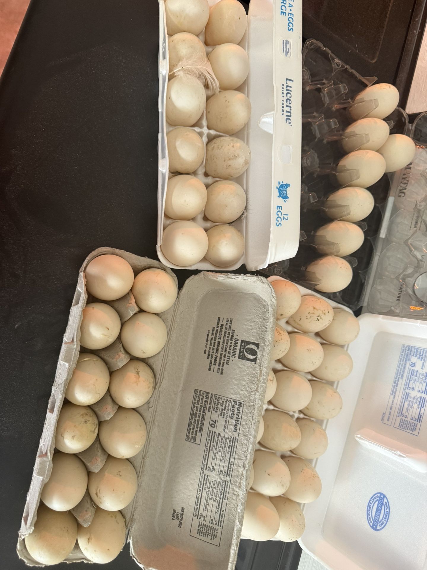 Duck Eggs!