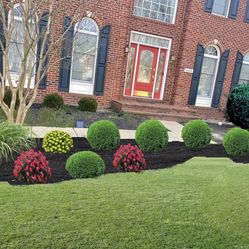 Spring Clean Up