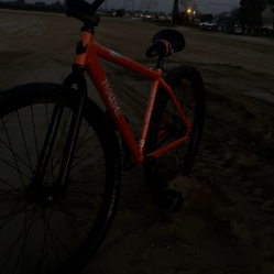 Orange palm 29er
