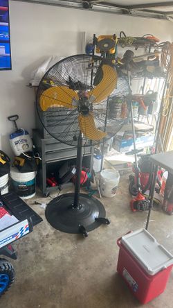 Fan