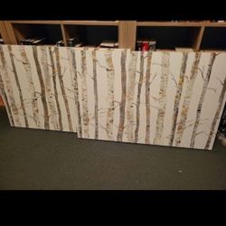 Birch Canvases 