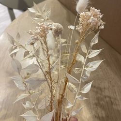 Dried Flowers - Afloral 