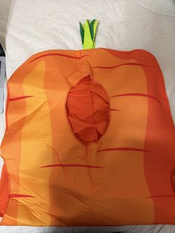 carrot costume