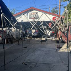 Base De Carpa  10x10