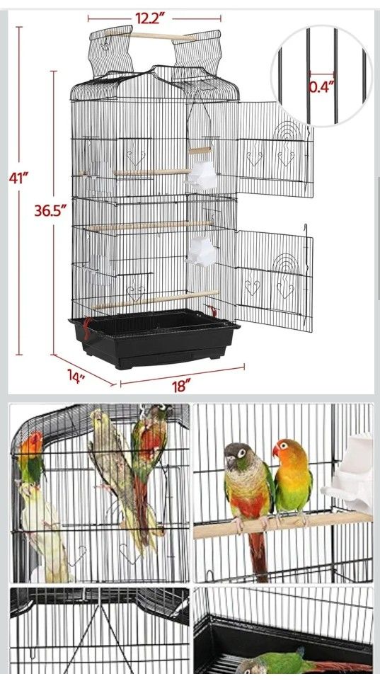Birdcage $40