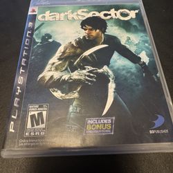 Dark Sector