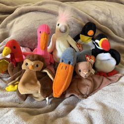 Lot Of Beanie Babies & Teenie Beanies