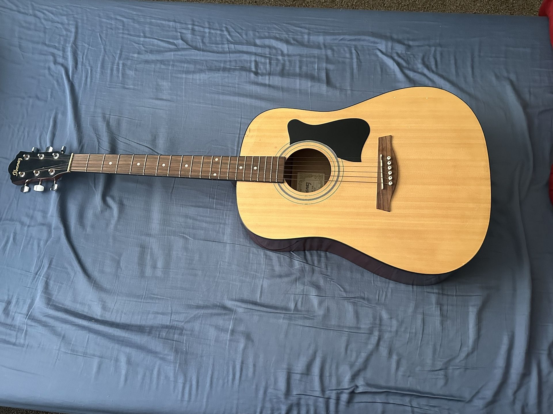 Ibanez Guitar