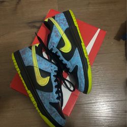 nike dunks 5.5Y