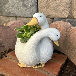 Decorative Plant Garden Plant Duck Vase