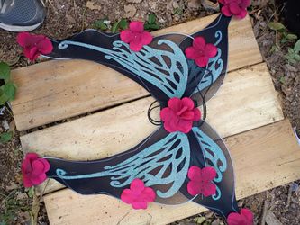 A Set of Butterfly Wings
