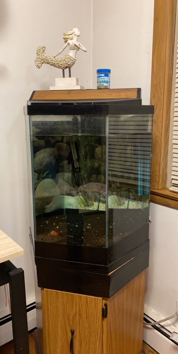 80 gal Octagon Fish Tank comes with sucker fish if you’d