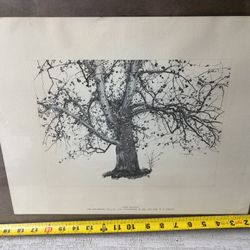 Andrew Wyeth. The big tree is “New Leaves” — ink and brush, 1941. The hanging ducks is “Canvasbacks” — dry brush, 1956. Nice