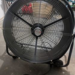 Big Fan 