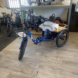 Electric Tricycle