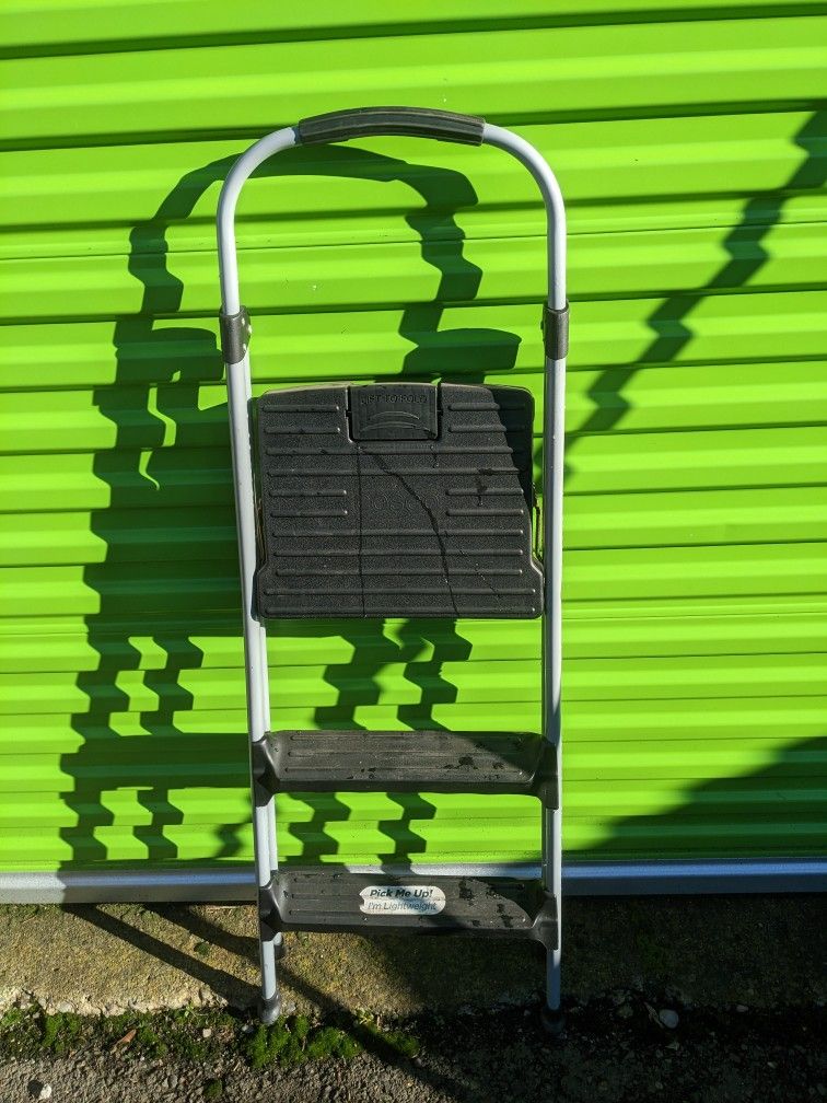 Costco Ladder