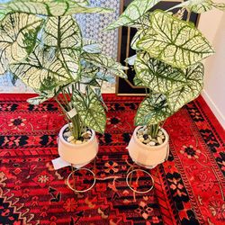 Threshold Faux Plant Sets 🎁 