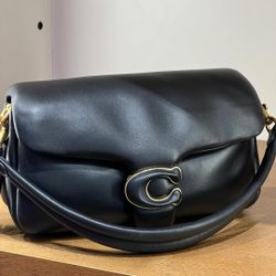 𝐂𝐎𝐀𝐂𝐇  Pillow Tabby 26