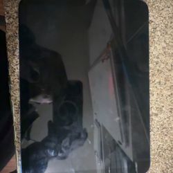 iPad Brand New Read Bio ! 