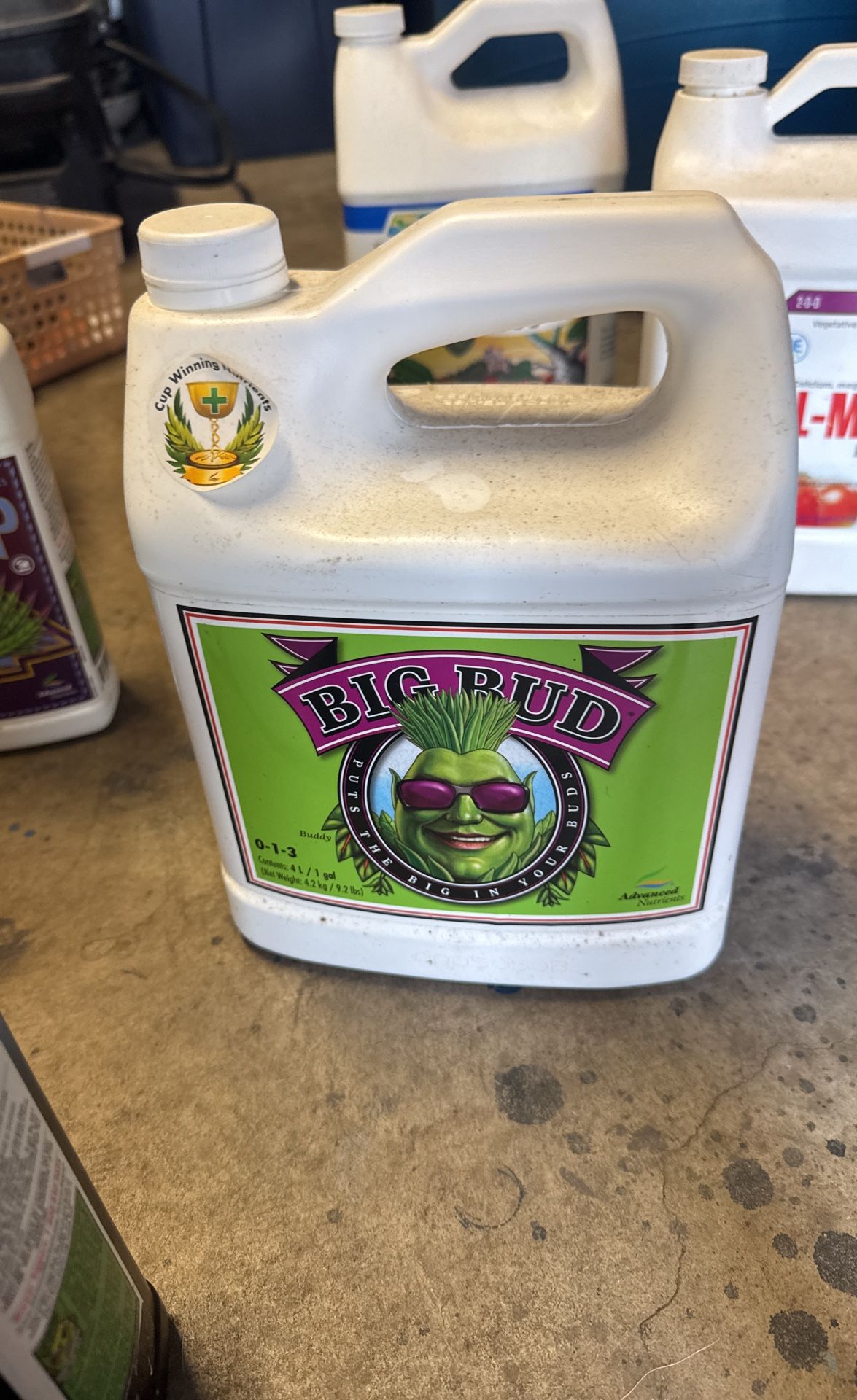 Big Bud