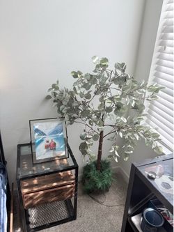Set of 2 Lit Eucalyptus 4ft trees!