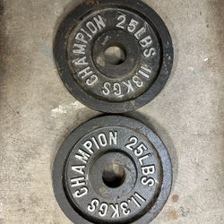 Olympic Weights 2 - 25 Pound Plates 