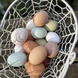 Fresh Eggs