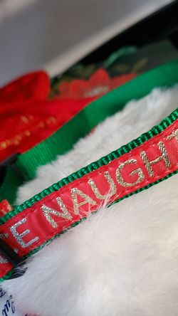 New! Doggie Christmas collar