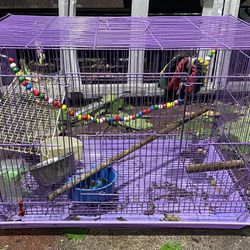 Bird Cage (w23 1/2’ x L16’ x H16’)