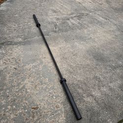 Weight Rogue Ohio Bar