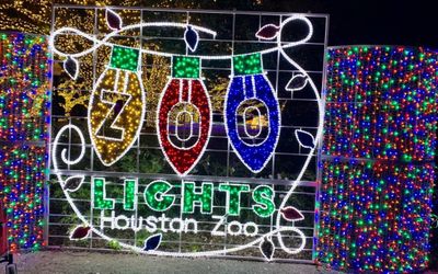 Houston Zoo Lights Tickets