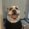 Edgar